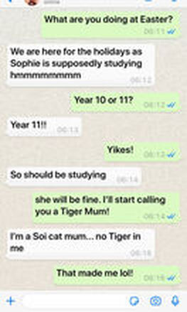 Tiger Mum or Alley Cat?